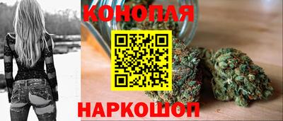 прущие грибы Краснодар